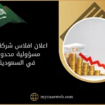 اعلان افلاس شركة ذات مسؤولية محدودة في السعودية