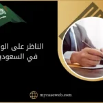 الناظر على الوقف