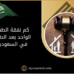 كم نفقة الطفل الواحد بعد الطلاق
