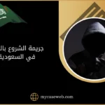 جريمة الشروع بالقتل في السعودية 12 جريمة الشروع بالقتل في السعودية