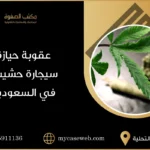 عقوبة حيازة سيجارة حشيش في السعودية