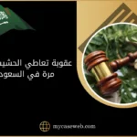 عقوبة تعاطي الحشيش لأول مرة في السعودية 8 عقوبة تعاطي الحشيش لأول مرة في السعودية