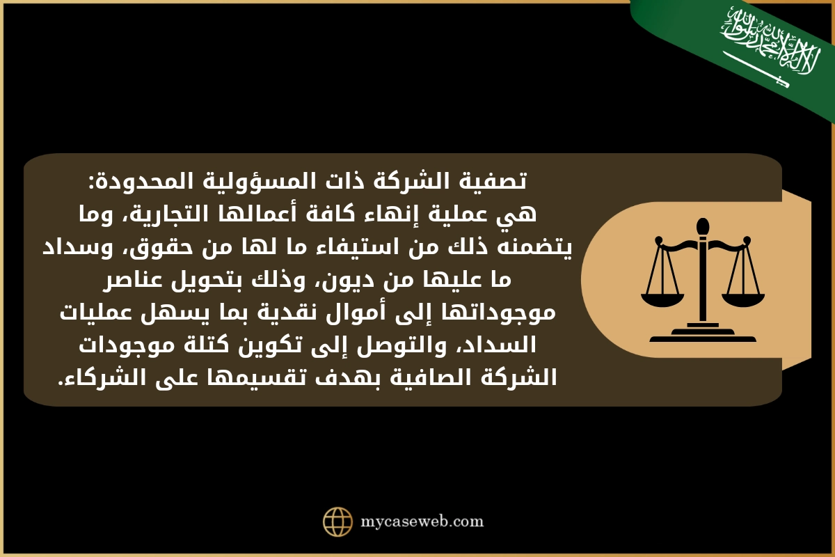 نموذج تصفية شركة ذات مسؤولية محدودة
